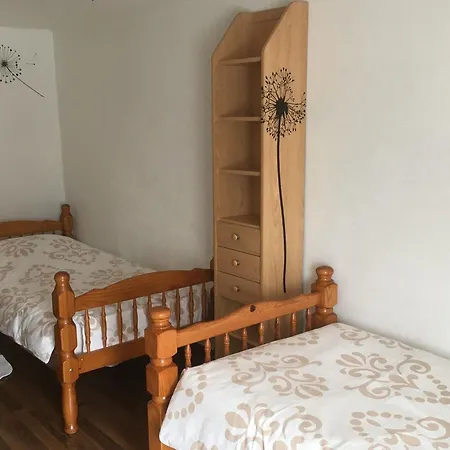 Holiday home 3 Chambres, Jardin, Proche Baccarat Et Lacs De Pierre-percee, Animaux Acceptes - Fr-1-584-36