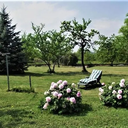 Holiday home 3 Chambres, Jardin, Proche Baccarat Et Lacs De Pierre-percee, Animaux Acceptes - Fr-1-584-36