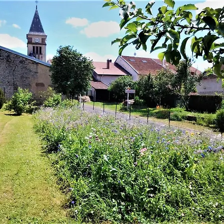 3 Chambres, Jardin, Proche Baccarat Et Lacs De Pierre-percee, Animaux Acceptes - Fr-1-584-36 Holiday home *