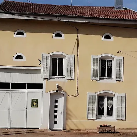 3 Chambres, Jardin, Proche Baccarat Et Lacs De Pierre-percee, Animaux Acceptes - Fr-1-584-36 *