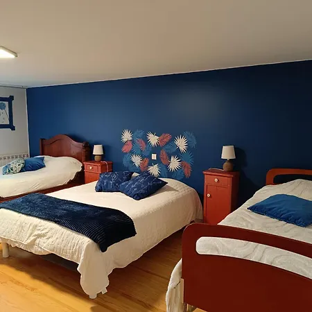 3 Chambres, Jardin, Proche Baccarat Et Lacs De Pierre-percée, Animaux Acceptés - Fr-1-584-36 Hébergement de vacances *