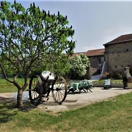 펜션 3 Chambres, Jardin, Proche Baccarat Et Lacs De Pierre-percee, Animaux Acceptes - Fr-1-584-36 Harbouey