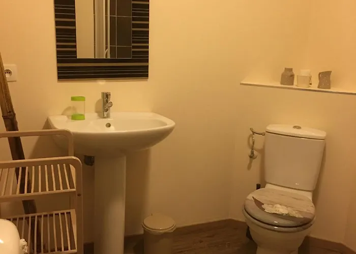 3 Chambres, Jardin, Proche Baccarat Et Lacs De Pierre-percee, Animaux Acceptes - Fr-1-584-36 펜션