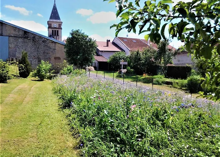 3 Chambres, Jardin, Proche Baccarat Et Lacs De Pierre-percee, Animaux Acceptes - Fr-1-584-36 펜션 *